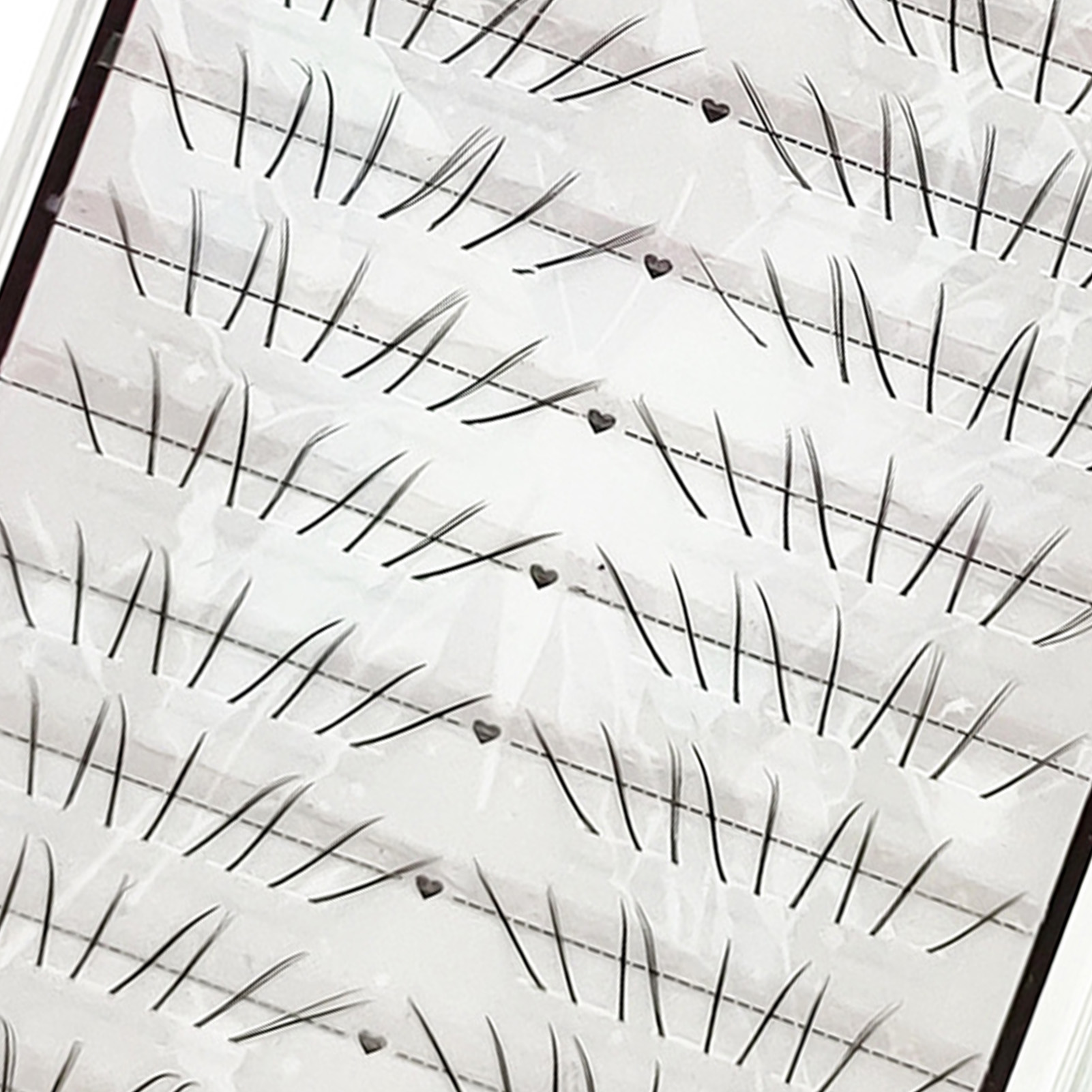 ขนตาปลอมแบบธรรมชาติทรง C Curl  - Eyelash Extension Cat Eye บทวิจารณ์และราคา